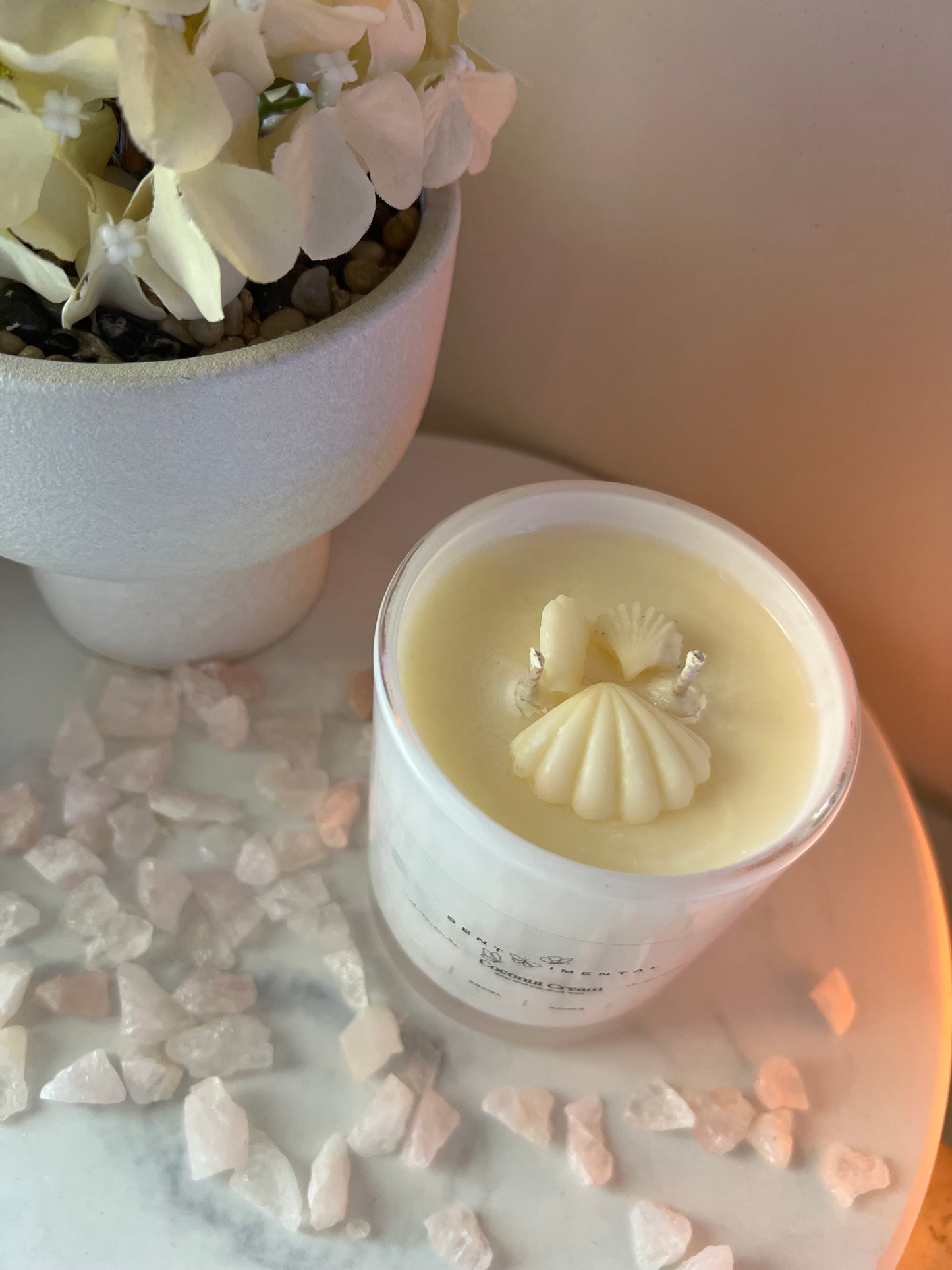 🥥 Coconut Cream