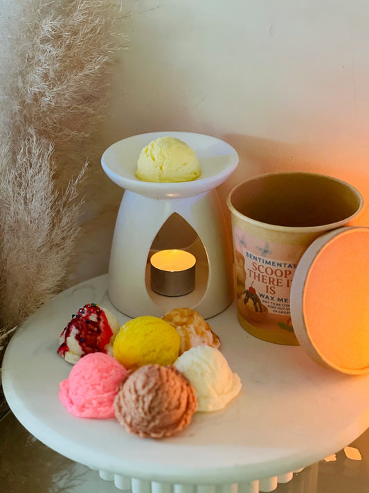 🍨 Scoop There It Is Wax Melts 🍨